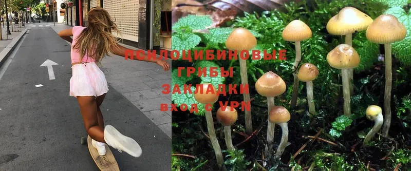 Псилоцибиновые грибы Magic Shrooms  кракен маркетплейс  Красноуфимск  как найти закладки 